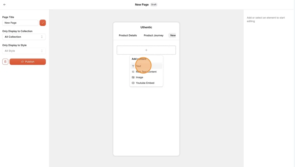 To add text to the custom page, there are two options: