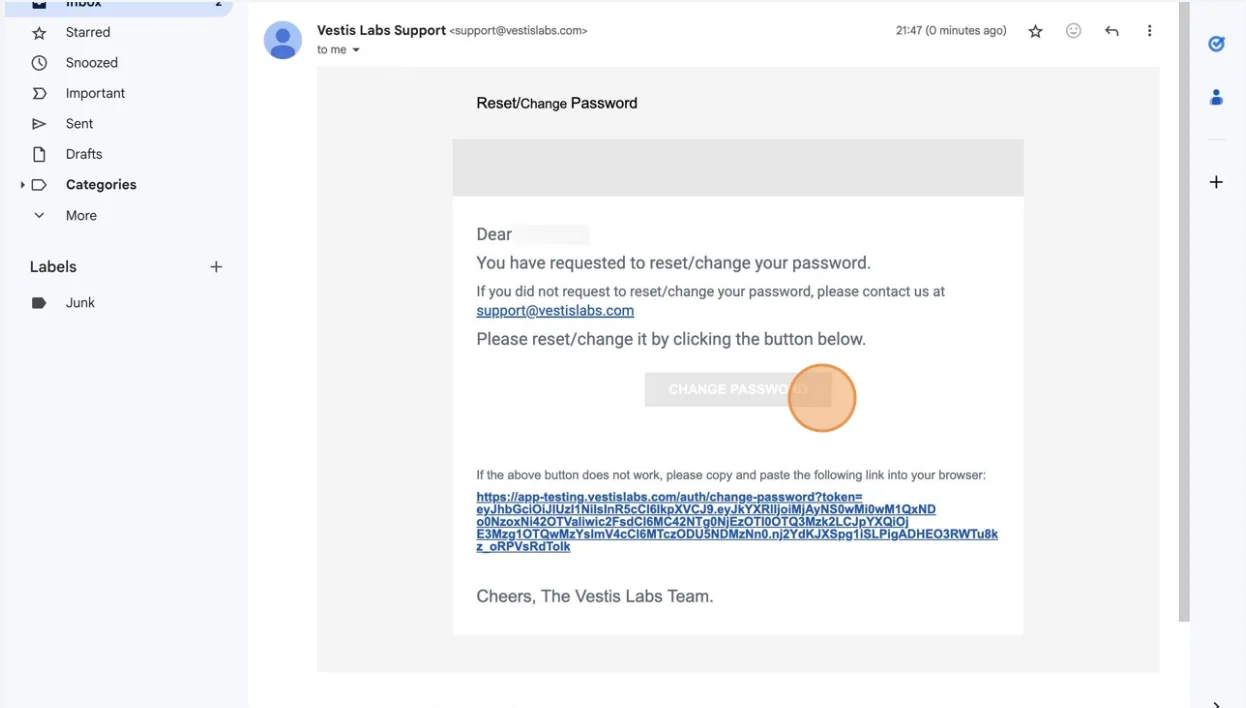 You'll receive a Reset/Change Password Link email that looks like this: